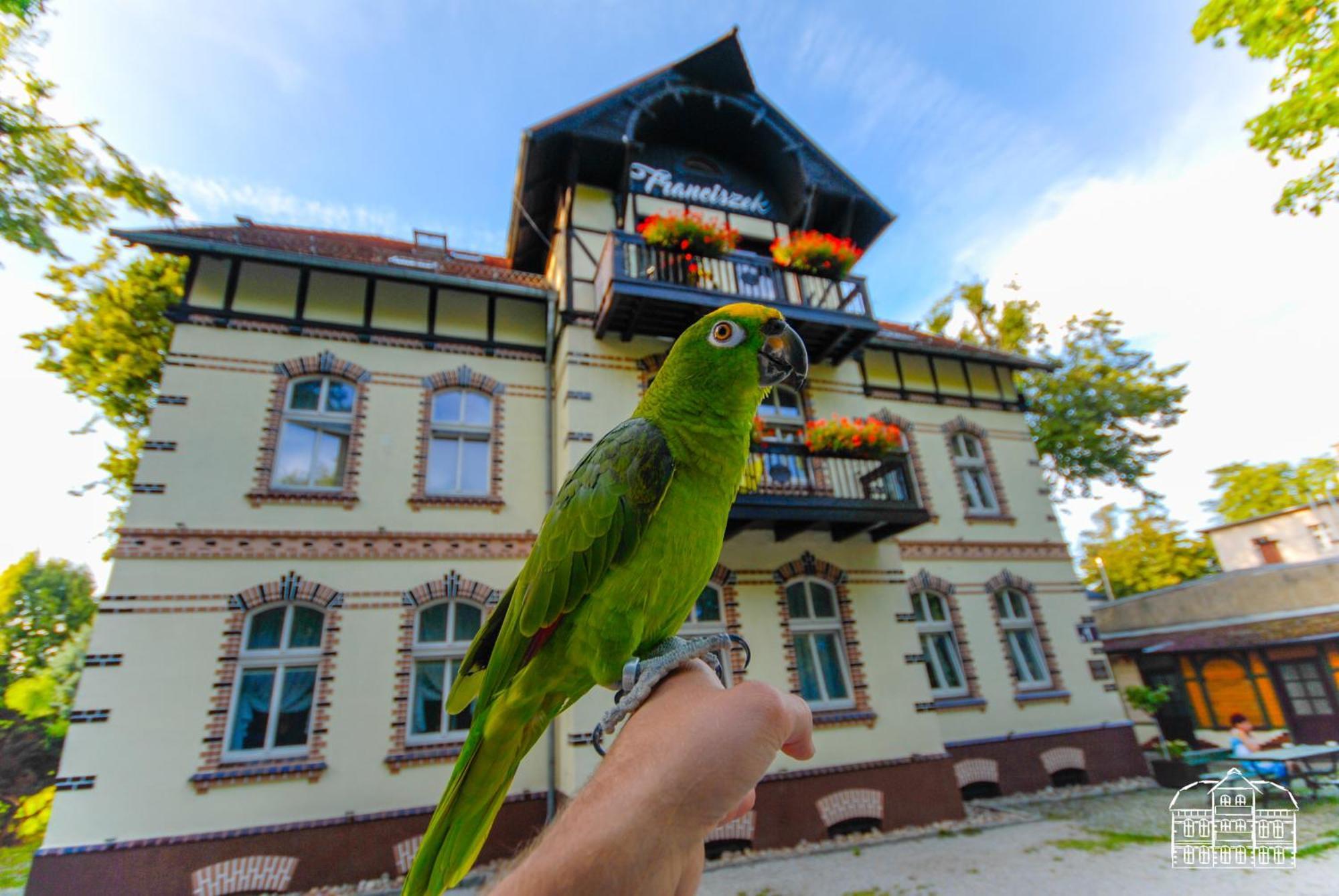 Franciszek Przy Parku Szwedzkim Apartment ชตอฟนอ-สดรูย ภายนอก รูปภาพ